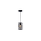 Lighting Pendant 1 Bulb Metal Metal 12360-001