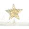 20 Led christimas silver convex star with battery AA